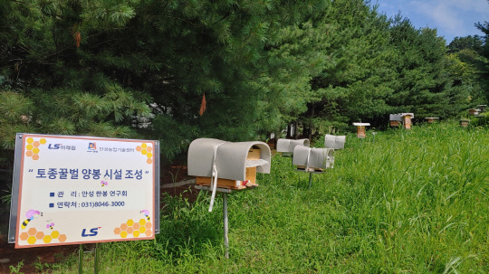 LS그룹 연수원인 경기도 안성시 LS미래원 야외 정원에 설치된 토종꿀벌 양봉 시설. <LS 제공>